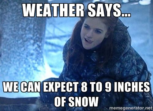 8-9 inches of snow